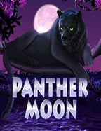 เกม คา สิ โน 888 ความสนุกและโอกาสชนะที่เกินคาด